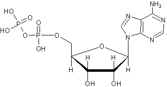 -5'- 