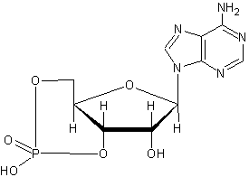 -3',5'-